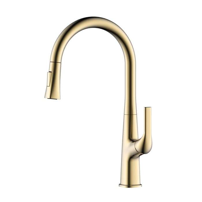 Swan neck kitchen faucet with pull down sprayer