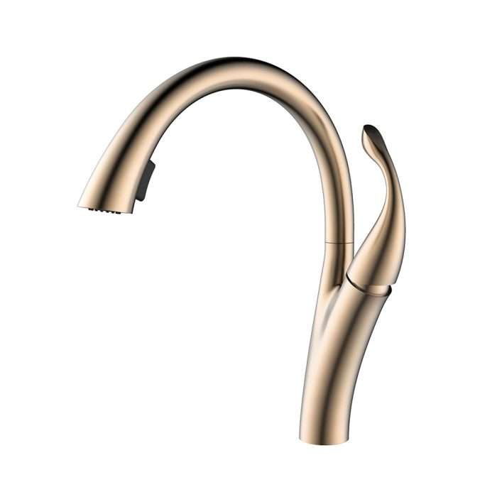 Elegant gooseneck kitchen faucet with pull down sprayer